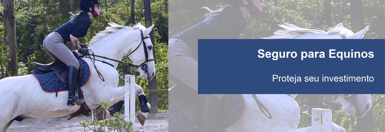 09-baner-equinos-1322x453